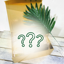 Load image into Gallery viewer, Mystery Skincare Box